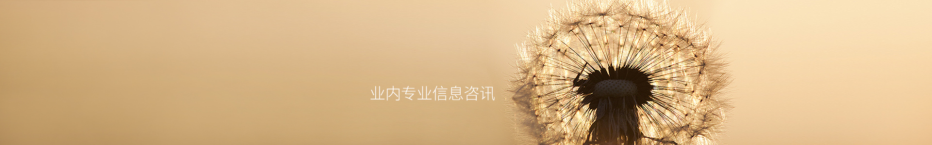 行業(yè)新聞